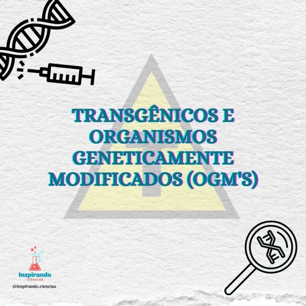 Atividade - Transgênicos e OGM's
