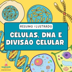 Resumo Ilustrado - Células, DNA e Divisão Celular