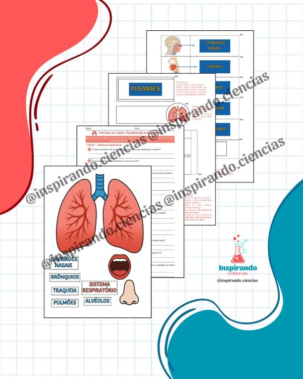 Caderno Interativo - Sistema Respiratório - Imagem 2