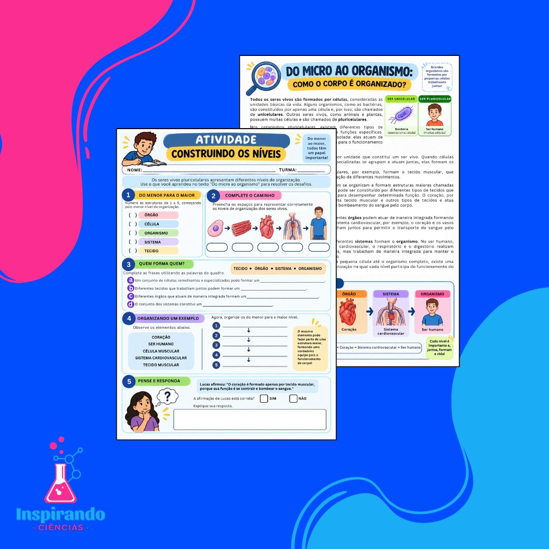 Combo de Atividades – Níveis de Organização, Tecidos e Órgãos - Imagem 2