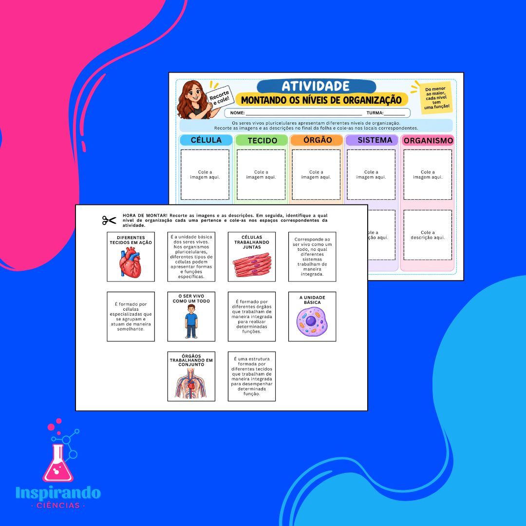 Combo de Atividades – Níveis de Organização, Tecidos e Órgãos - Imagem 3