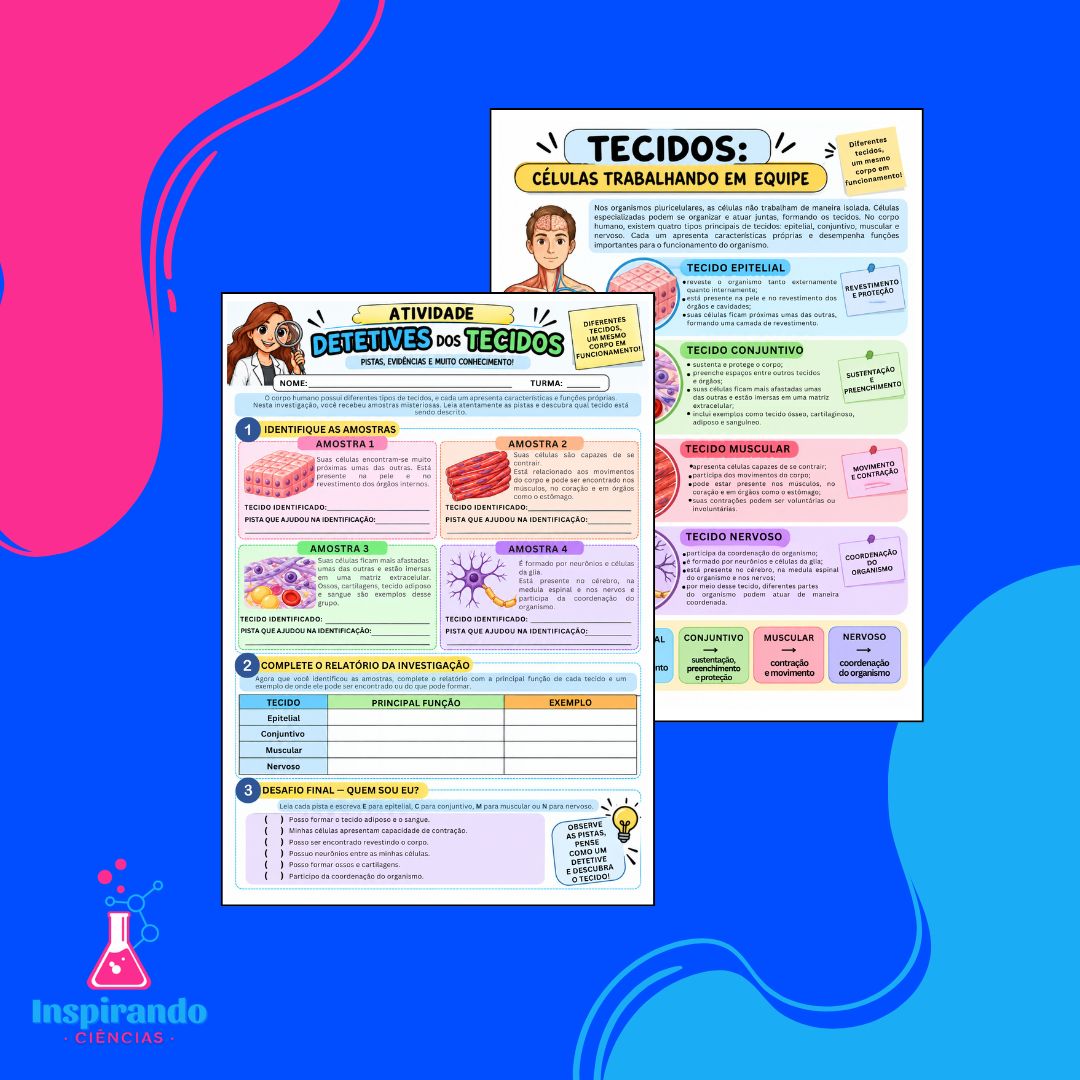 Combo de Atividades – Níveis de Organização, Tecidos e Órgãos - Imagem 4