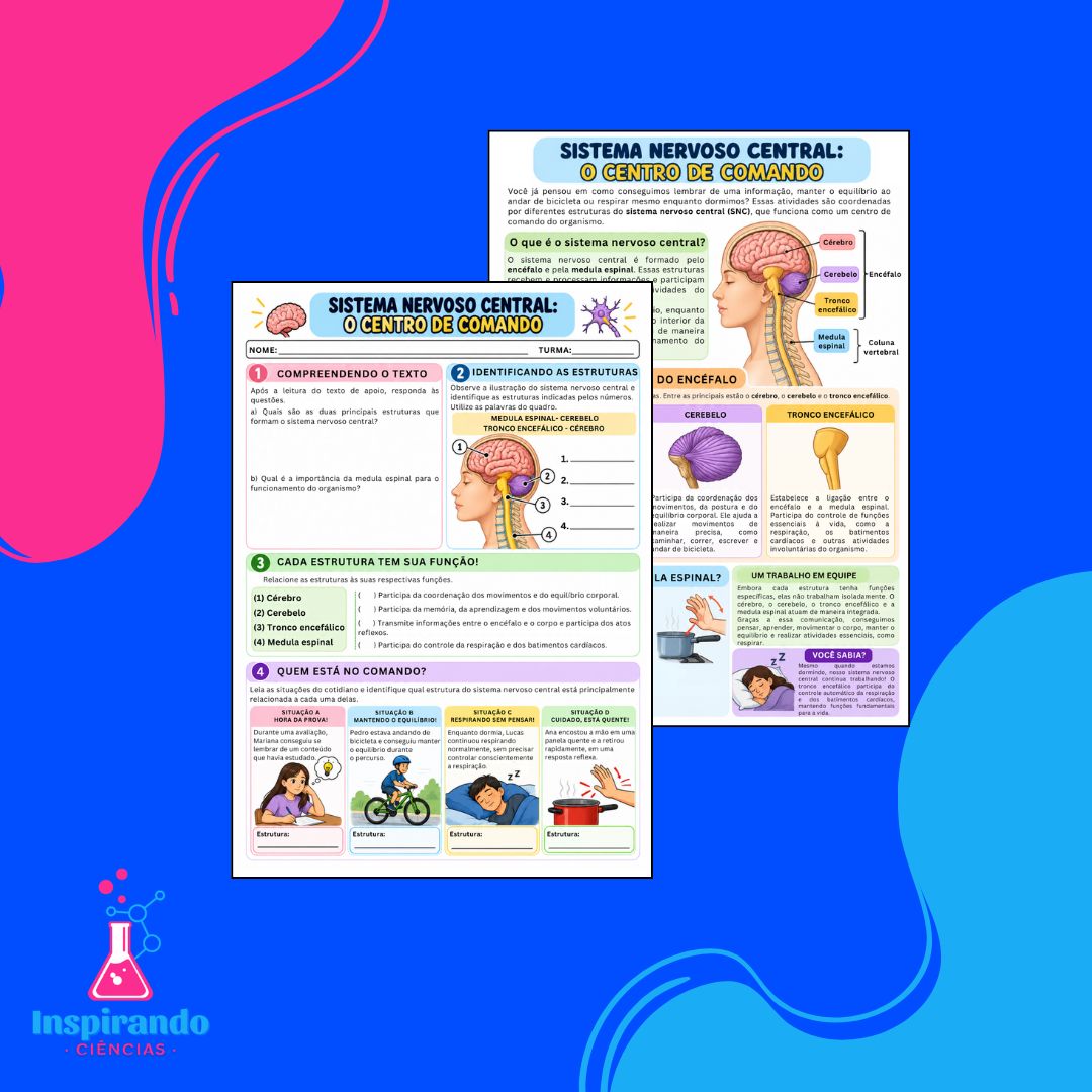 Combo de Atividades – Sistema Nervoso - Imagem 4